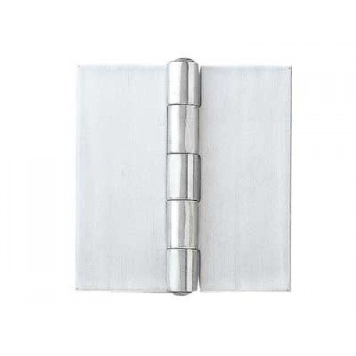 Stainless Steel Butt Hinge